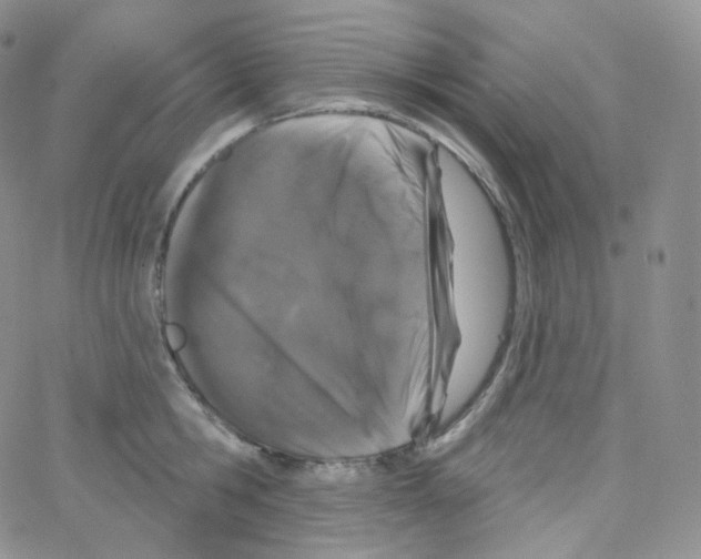 X0000064720806200603131226