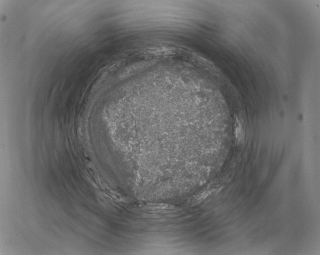 X0000064720819200603131225