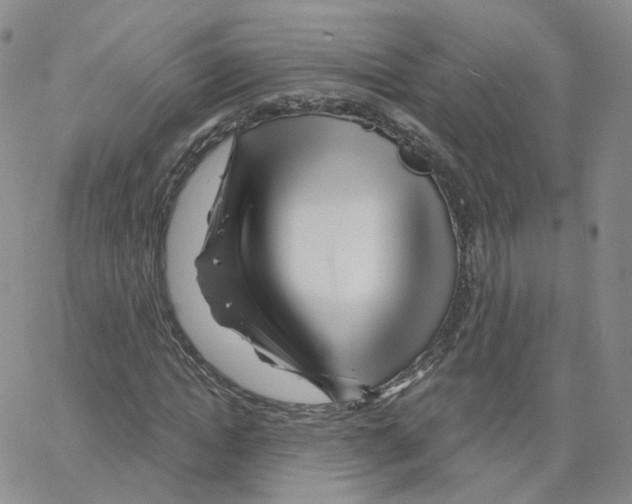 X0000064720822200603131225