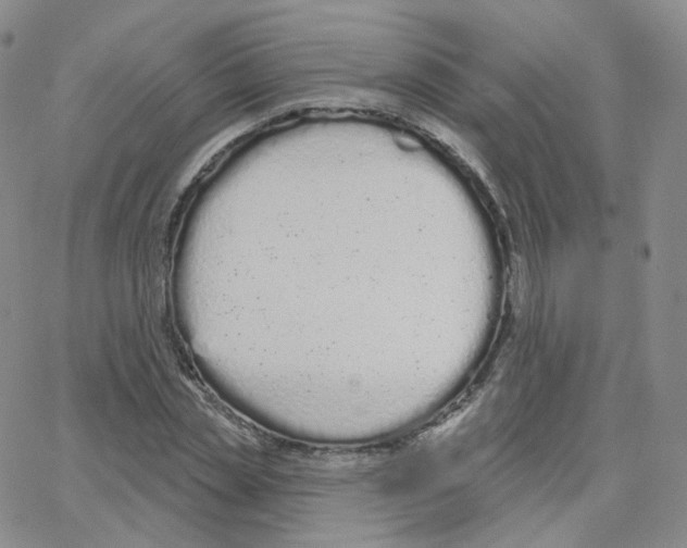 X0000064720829200603131225