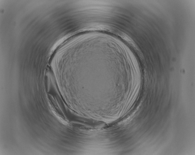 X0000064720842200603131225