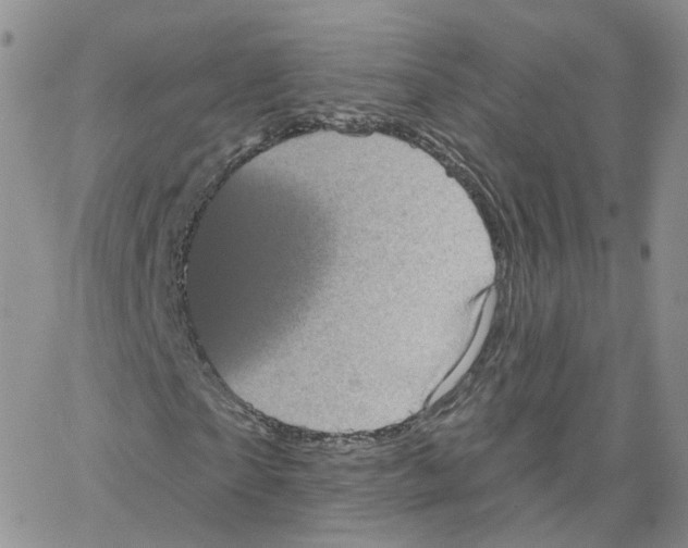 X0000064720865200603131225