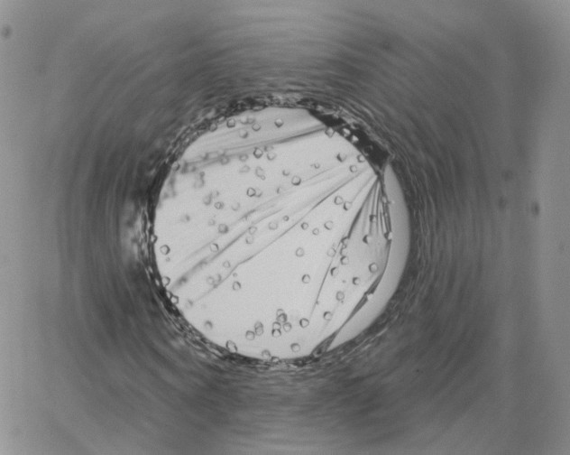 X0000064720866200603131225