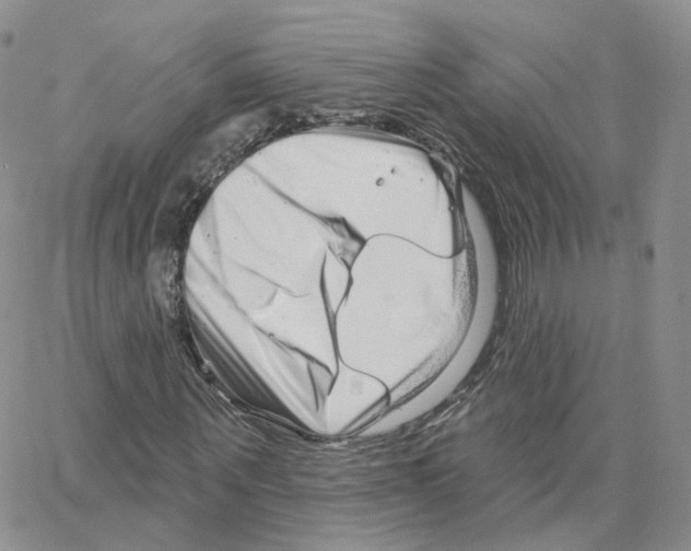 X0000064720867200603131225
