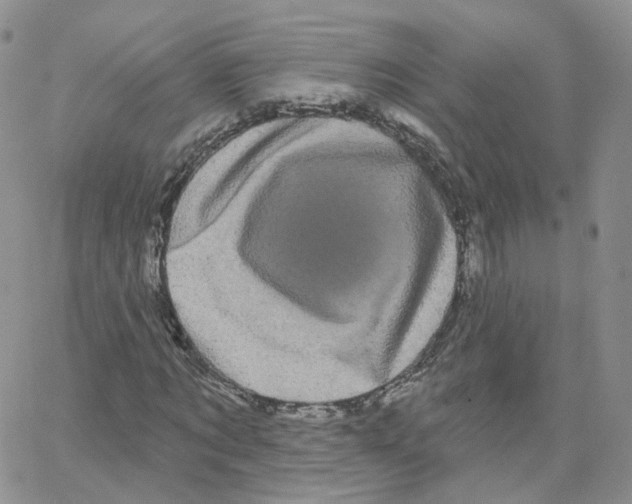 X0000064720869200603131225