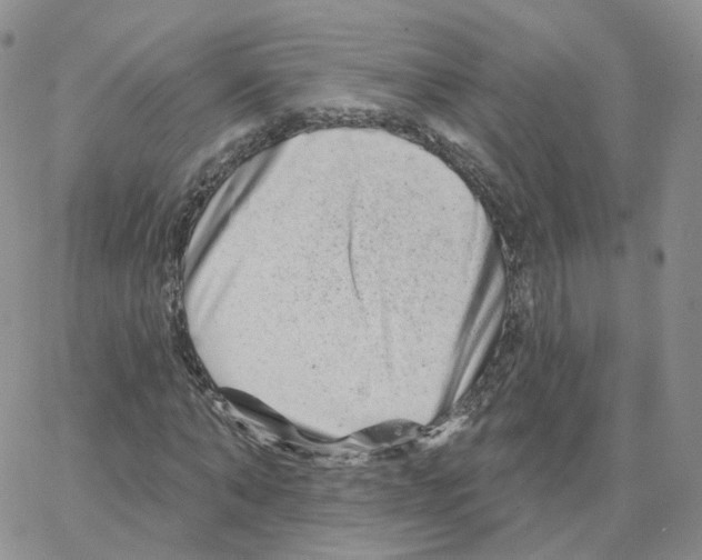 X0000064720870200603131225