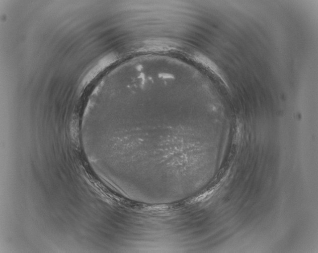 X0000064720874200603131225
