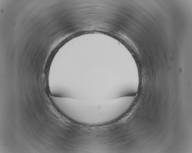 X0000064720876200603131225