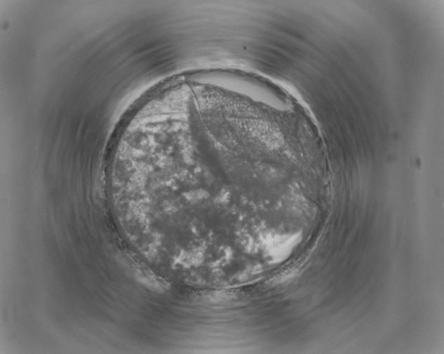 X0000064720879200603131225