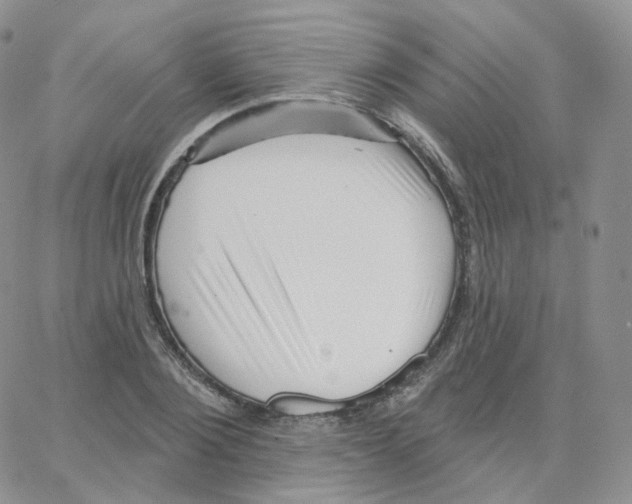 X0000064720884200603131225