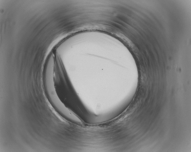X0000064720894200603131225