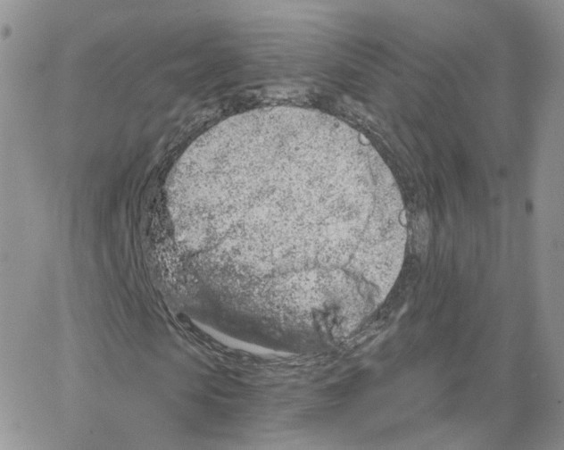 X0000064720913200603131223