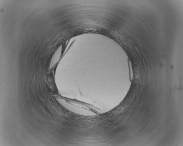 X0000064720916200603131224
