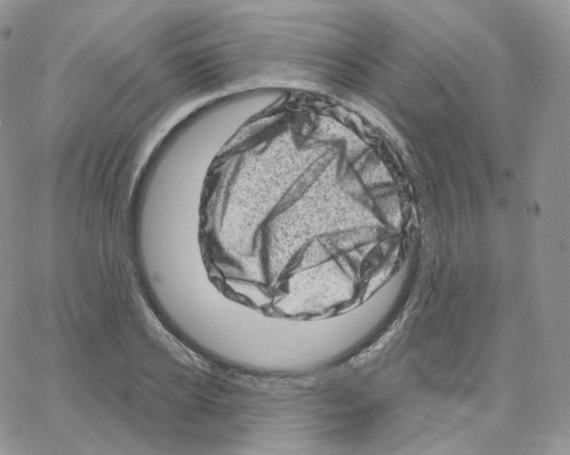 X0000064720934200603131224