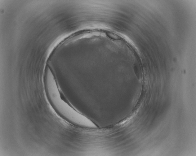 X0000064720943200603131224