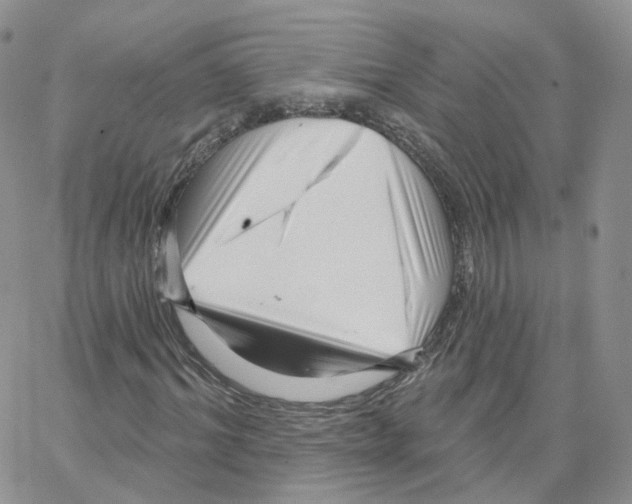 X0000064720964200603131223