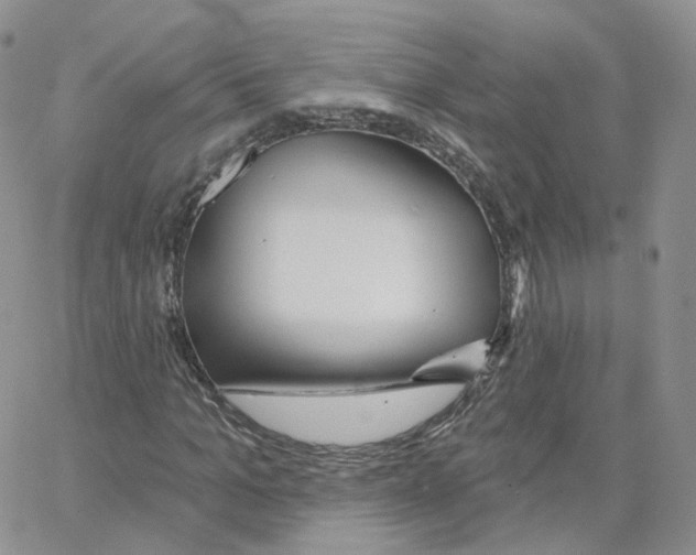X0000064720965200603131223