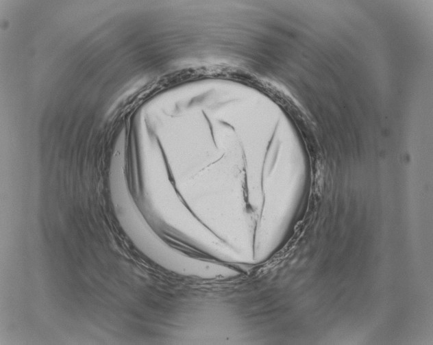 X0000064720967200603131223