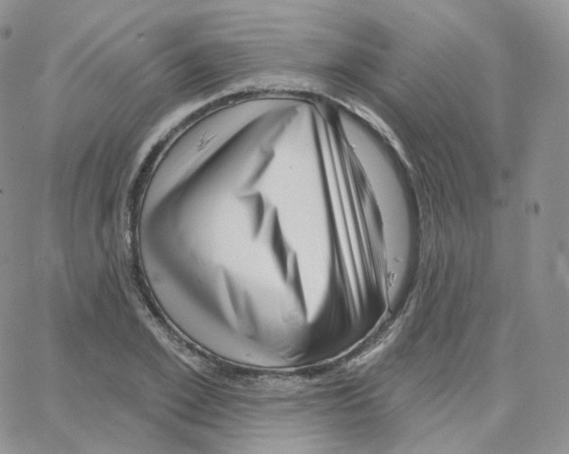 X0000064720981200603131223