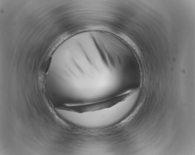 X0000064721001200603131223