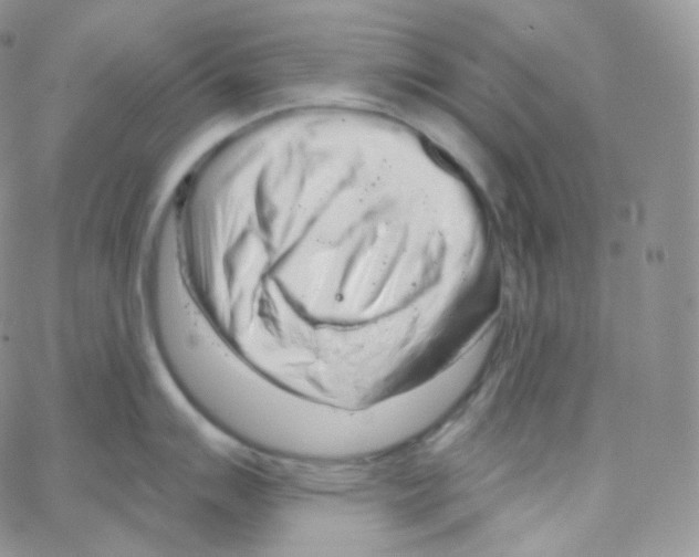X0000064721007200603131223