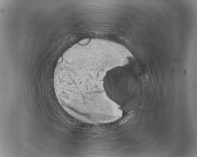X0000064721009200603131222