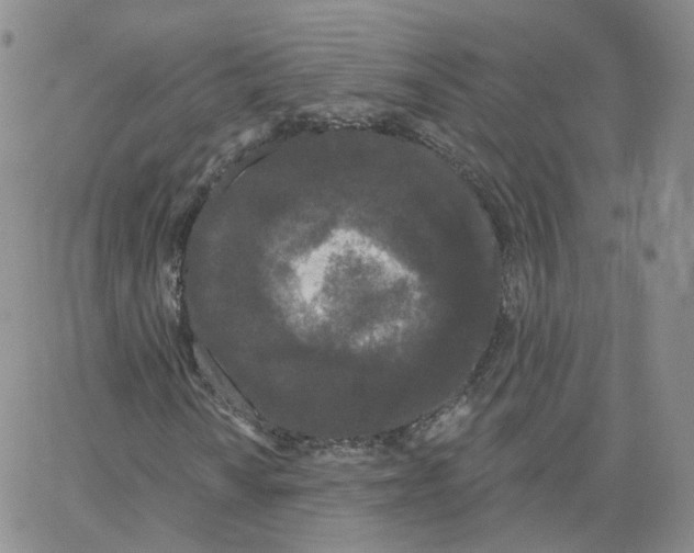 X0000064721010200603131222