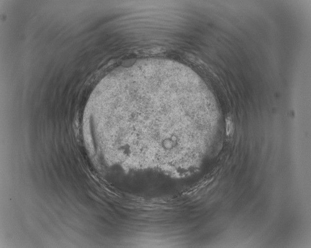 X0000064721011200603131222