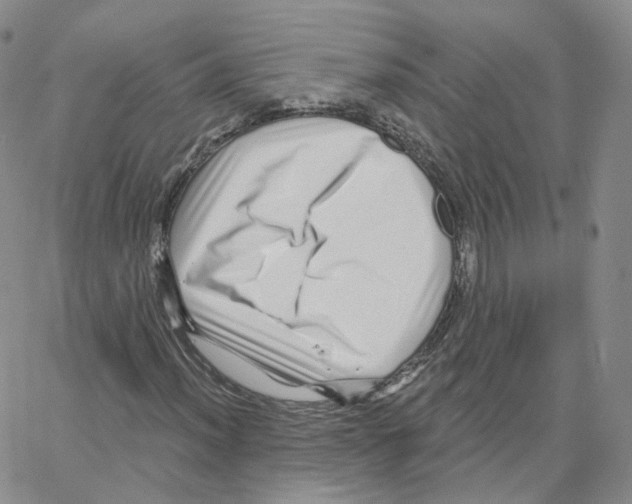 X0000064721012200603131222