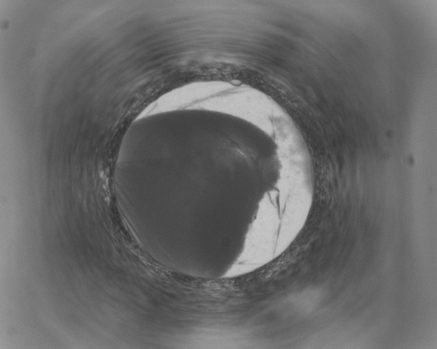 X0000064721013200603131222