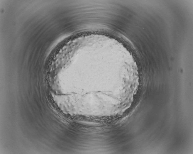 X0000064721019200603131222