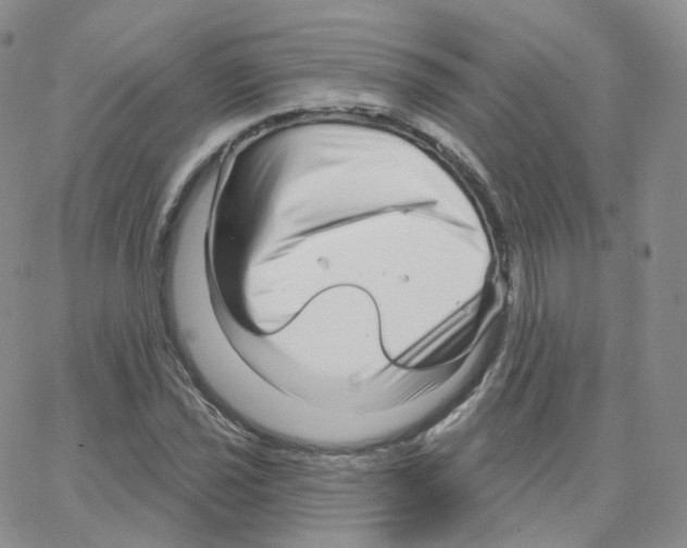 X0000064721021200603131222