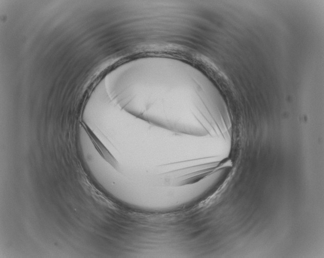 X0000064721025200603131222