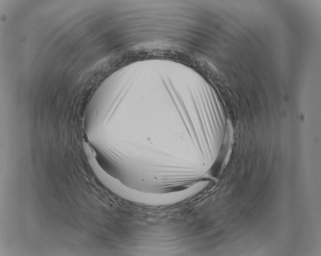 X0000064721062200603131222