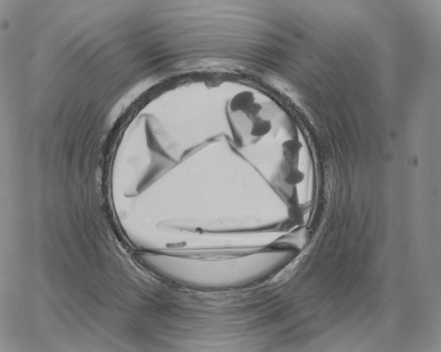X0000064721066200603131222