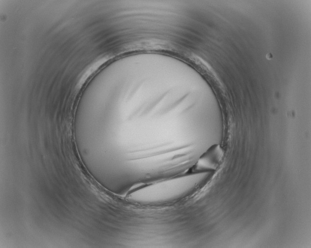 X0000064721081200603131222