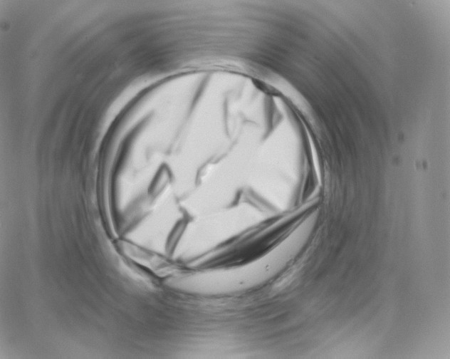 X0000064721102200603131221