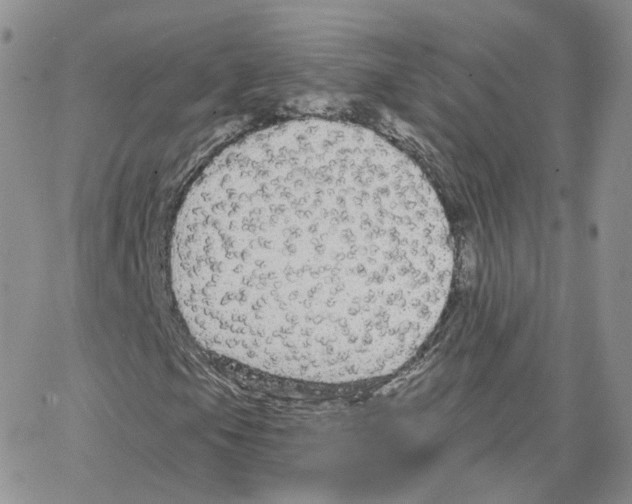 X0000064721105200603131220
