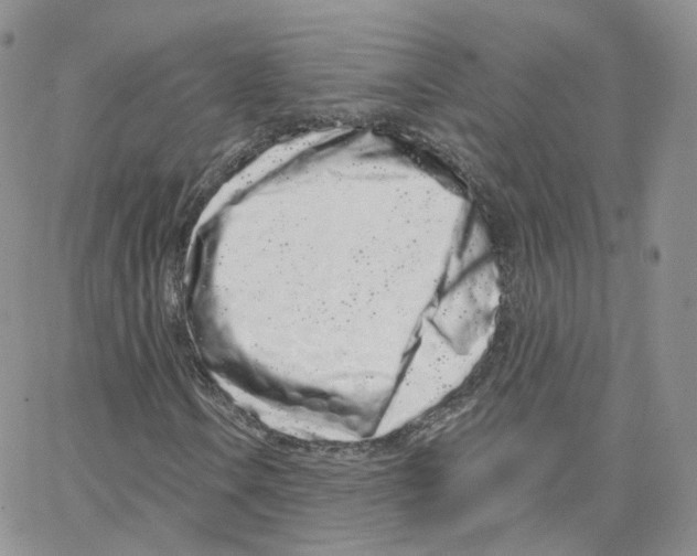 X0000064721106200603131220