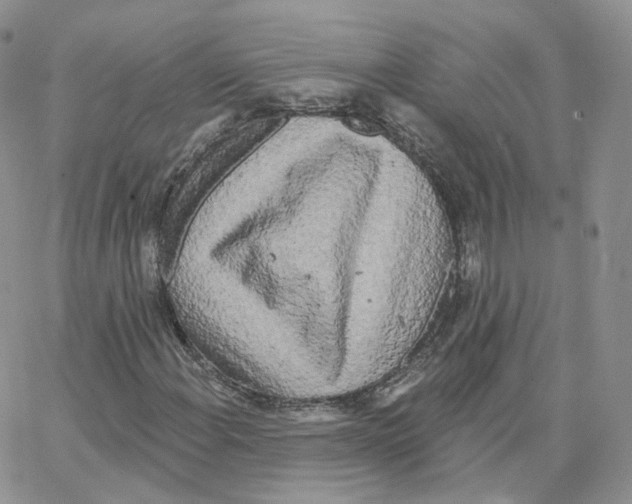 X0000064721108200603131220