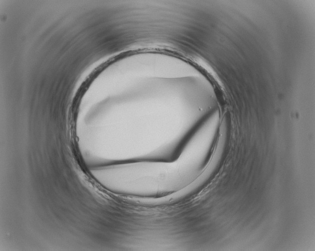 X0000064721124200603131221