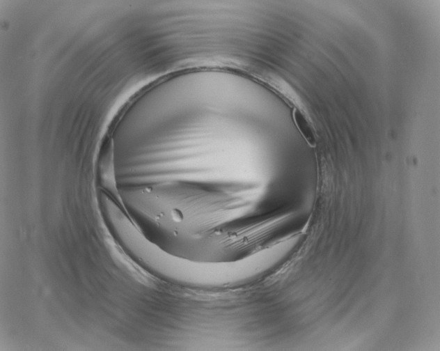 X0000064721132200603131221