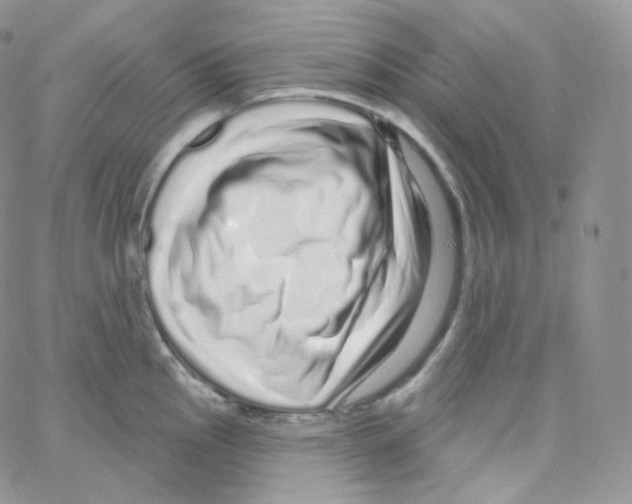 X0000064721145200603131221