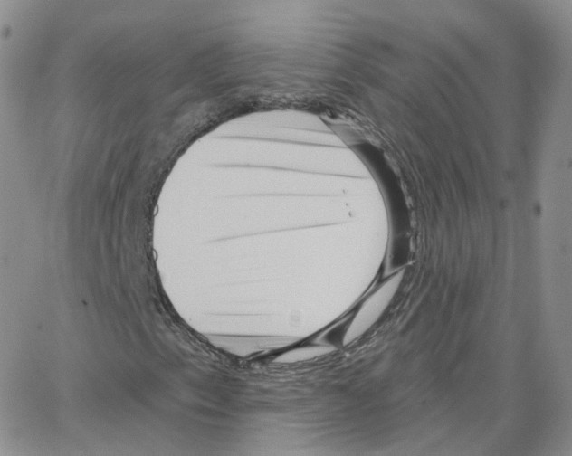 X0000064721153200603131220
