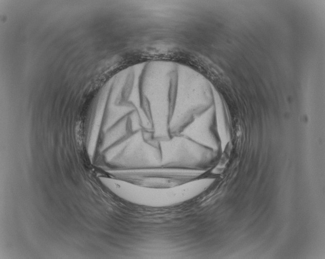 X0000064721156200603131220