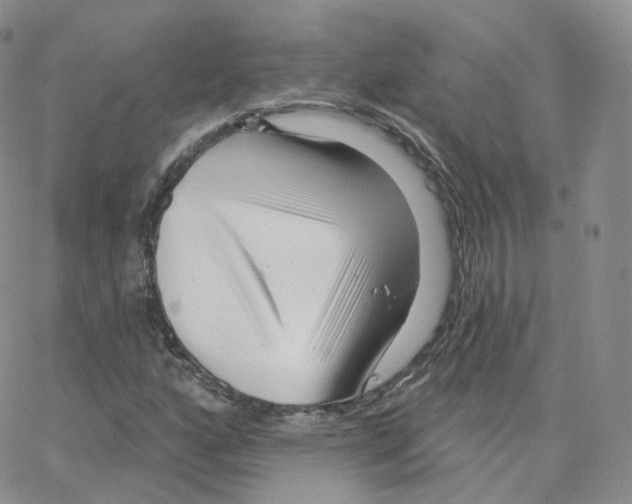 X0000064721160200603131220