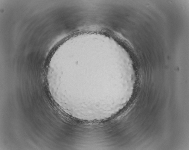 X0000064721166200603131220