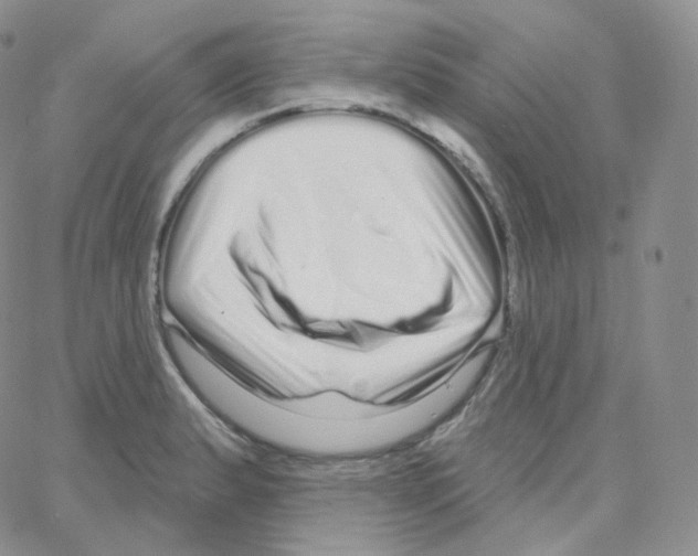 X0000064721183200603131220