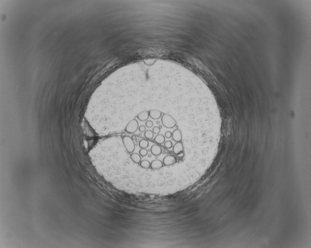 X0000064721201200603131219