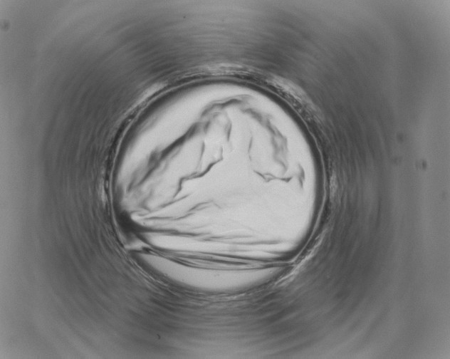 X0000064721209200603131219